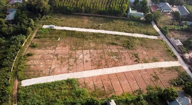 Lieu viec cam phan lo tach thua co lam giam 'sot dat'? hinh anh 2