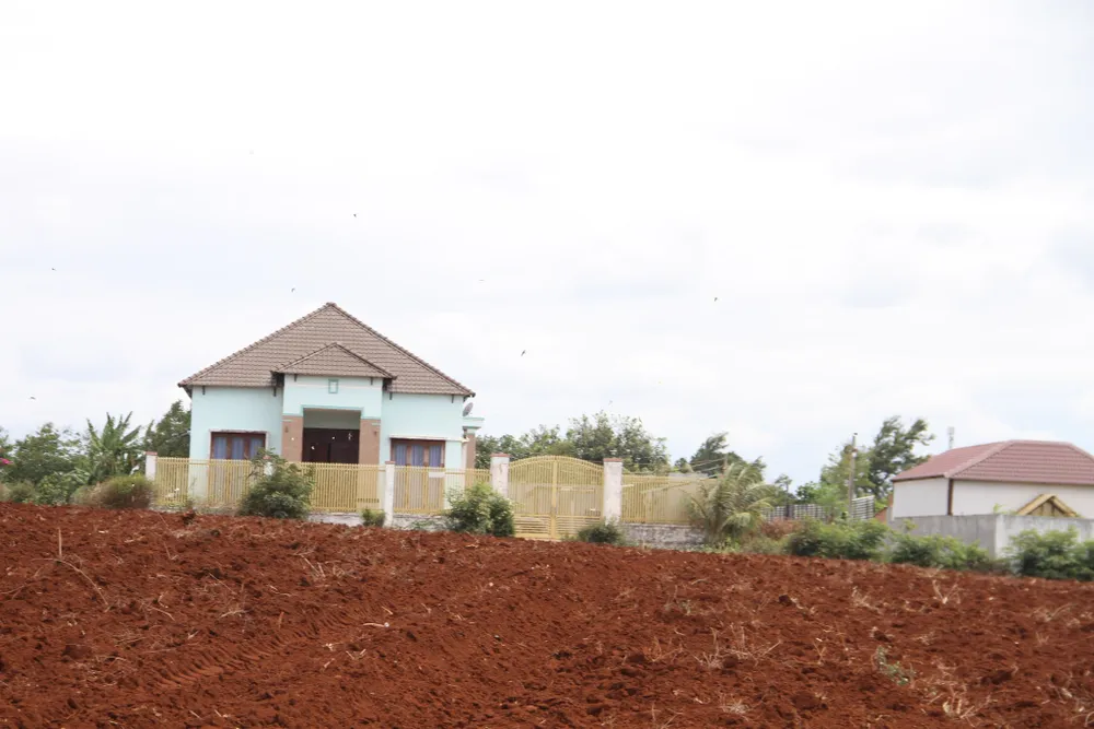 Đất ruộng, đất rẫy bị 'xẻ thịt' - ảnh 2