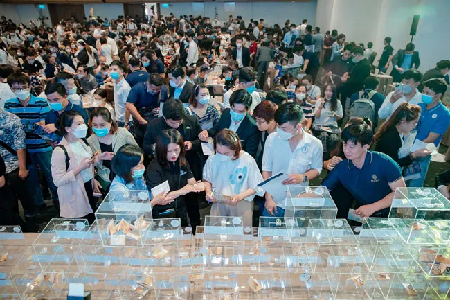 “Cháy hàng” khi ra mắt 3 toà “hoa hậu” tại The Beverly Solari ảnh 1