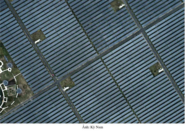 Sức ép từ cú sốc giá xăng, dầu ảnh 5