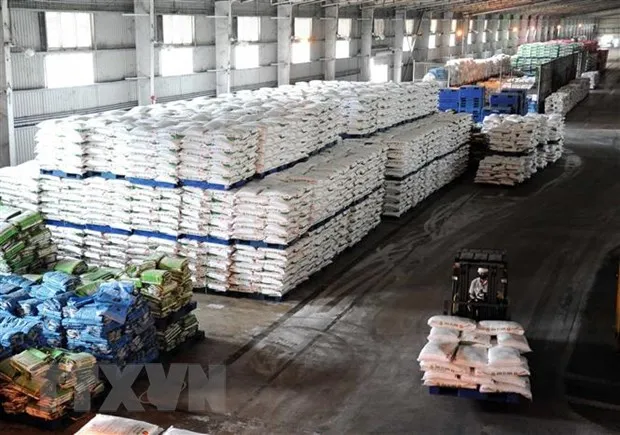 Du bao bien dong thi truong phan bon tu nay den cuoi nam hinh anh 2