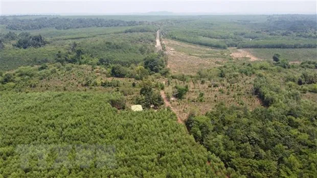 Kien nghi khong xay dung duong Binh Phuoc-Dong Nai qua cau Ma Da hinh anh 2