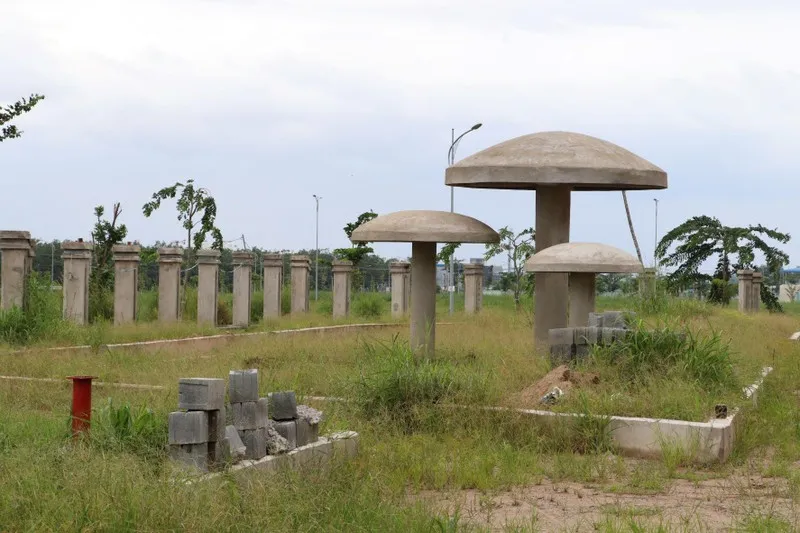 Dang dở hạ tầng xã hội khu tái định cư sân bay Long Thành ảnh 10