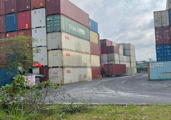 Lo lắng kinh doanh kém hiệu quả, cổ đông của SSC “cầu cứu” UBND TPHCM ảnh 1