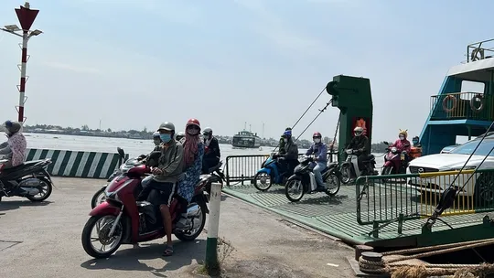 5 phương án xây dựng cầu Cát Lái - Ảnh 3.