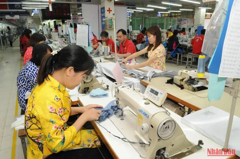 Giải “bài toán” thiếu nguyên liệu cho doanh nghiệp xuất khẩu ảnh 1 Giải “bài toán” thiếu nguyên liệu cho doanh nghiệp xuất khẩu ảnh 2