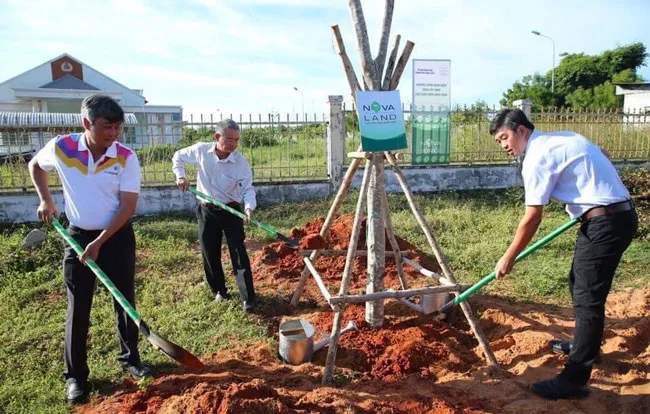 6 tháng, Novaland ghi nhận 1.818 tỷ đồng lợi nhuận sau thuế ảnh 2