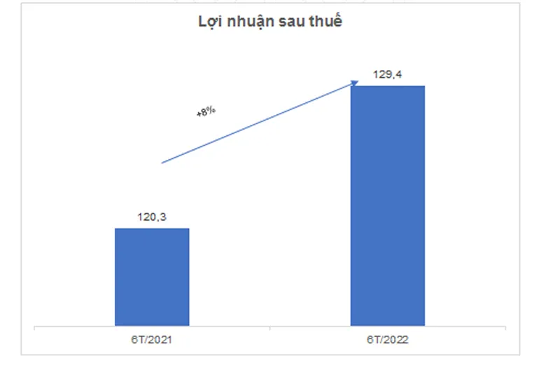 6 tháng, Hưng Thịnh Incons tăng trưởng doanh thu 14% ảnh 2