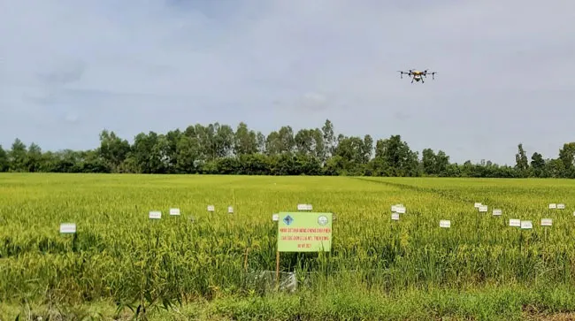 Khắc khoải cùng châu thổ miền Tây ảnh 2