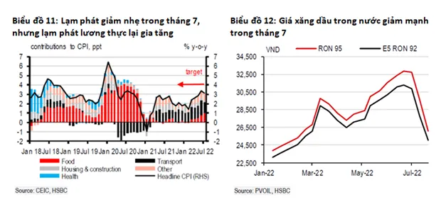 HSBC: Kinh te Viet Nam thanh cong du buc tranh ben ngoai 'kem sang' hinh anh 2