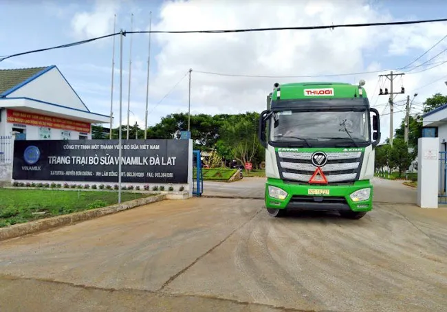 Thilogi cung ứng dịch vụ vận chuyển gia súc chuyên nghiệp ảnh 2