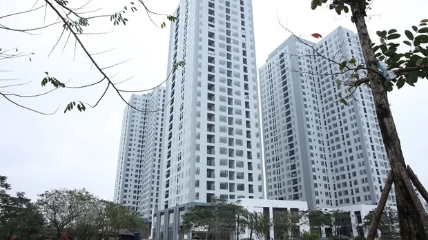 Sua doi Luat Dat dai se tac dong manh toi thi truong bat dong san hinh anh 1