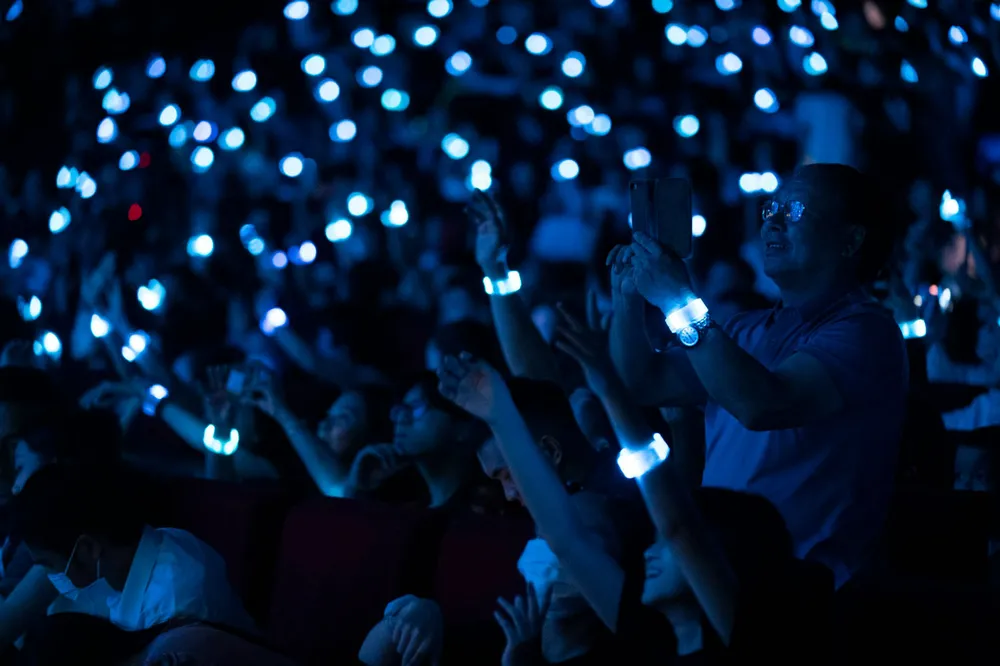 3.000 người tham dự đại nhạc hội ra mắt cộng đồng VinFast toàn cầu ảnh 6