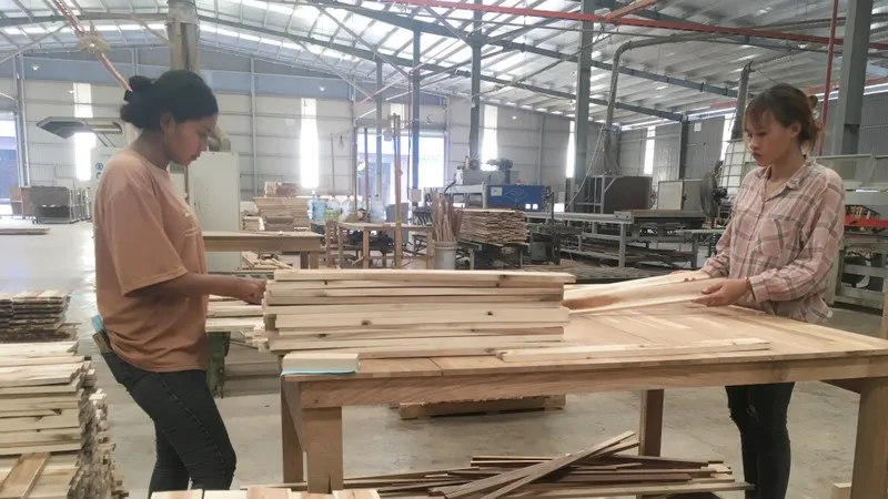 Xây dựng chuỗi cung ứng gỗ hợp pháp gắn với quản lý rừng bền vững ảnh 2