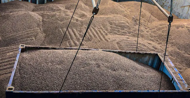 Cảng Chu Lai phát triển mạnh dịch vụ xuất nhập khẩu hàng rời ảnh 2