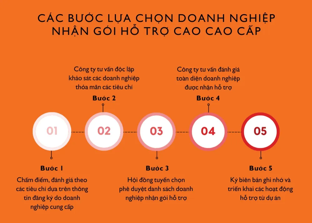 Hơn 220 tỷ đồng hỗ trợ kỹ thuật cho 60 doanh nghiệp tiên phong Việt Nam ảnh 2