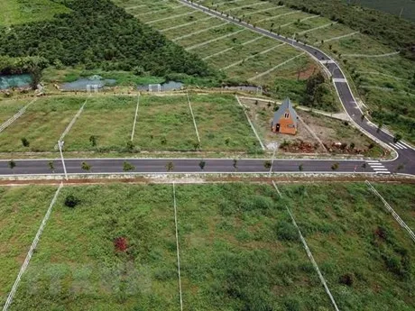 Phó Thủ tướng: Cần tiến tới thiết lập mã định danh với từng thửa đất