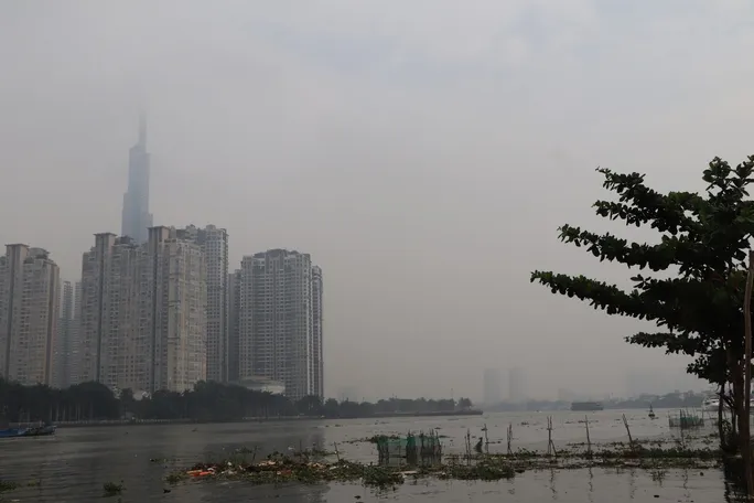 TP HCM sáng 30-12, thời tiết se lạnh, sương mù bao phủ ảnh 6