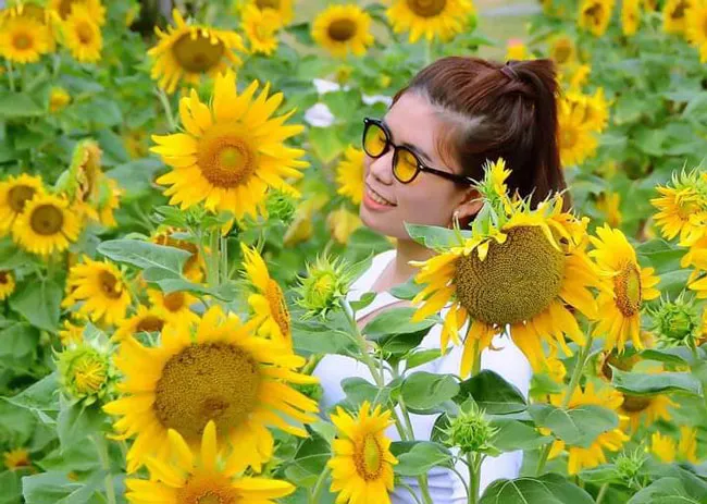 Say đắm bởi ngàn hoa