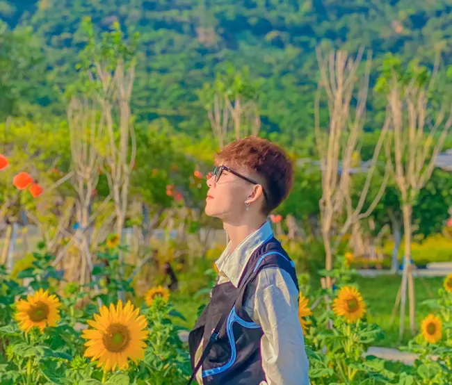 Những đóa hướng dương trên dãy Thất Sơn Những đóa hướng dương trên dãy Thất Sơn