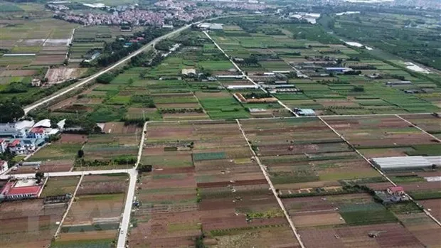 (Ảnh minh họa: Vũ Sinh/TTXVN)