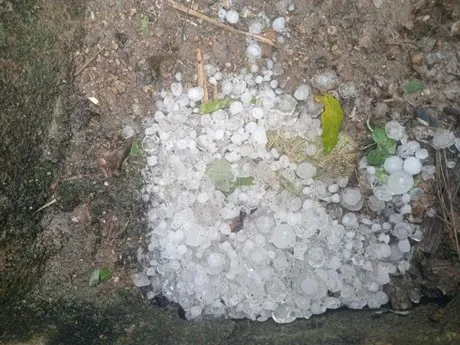 Tiếp tục xuất hiện mưa đá, gió lốc gây hại