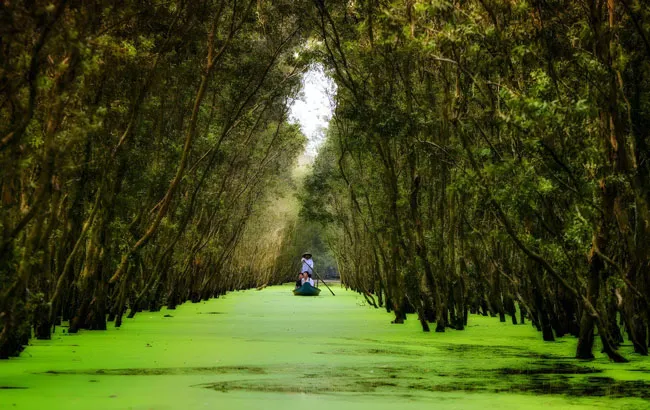 “Viên lục bảo” lớn nhất Việt Nam