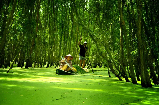 Màu xanh bát ngát thanh bình