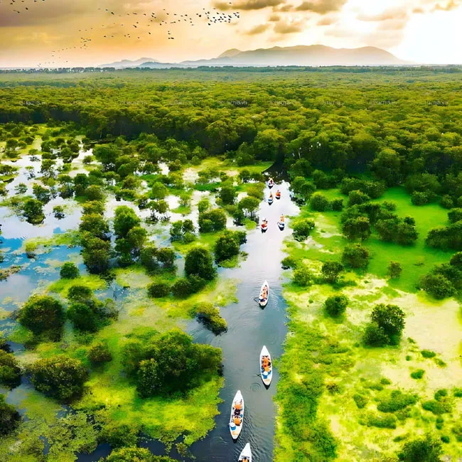 Chờ mong một ngày không xa…