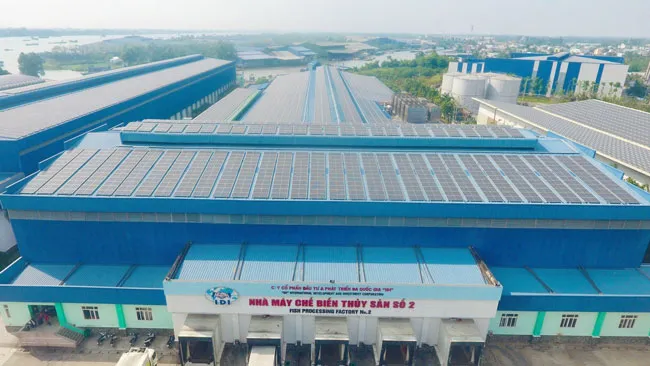 Hệ thống pin NLMT phủ kín nóc các Nhà máy chế biến thủy sản (Cty IDI)