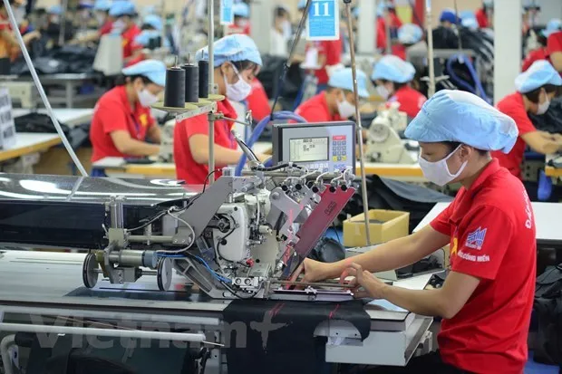 Sản xuất đơn hàng phục vụ xuất khẩu. (Ảnh: Đức Duy/Vietnam+)