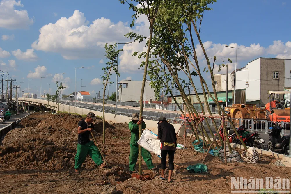 Nhà thầu đang đẩy nhanh thi công hạng mục trồng cây xanh.