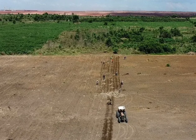 Người dân cày đất để trồng khoai mì phần diện tích dự án sân bay Long Thành.