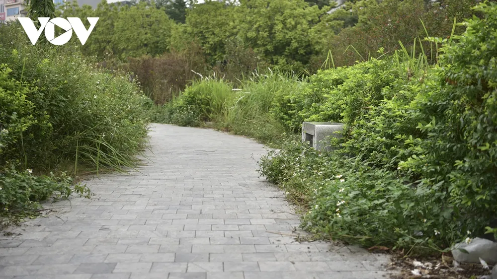 Tuy nhiên, sau 5 năm đưa vào sử dụng, công viên đã xuống cấp do không được chăm sóc, bảo dưỡng thường xuyên.