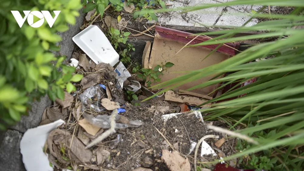 Rác thải do người dân thiếu ý thức vứt vương vãi khắp nơi trong công viên.
