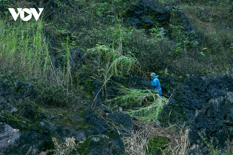 Trái ngược với ưu ái từ cảnh sắc thiên nhiên hùng vĩ, cuộc sống của người dân nơi đây lại vô cùng khắc nghiệt. Đá là thứ duy nhất gắn liền với đời sống người dân, đập đá để mở đất trồng trọt, đục đá mở đường đi lại, xếp hàng rào từ đá bảo vệ đồi nương.