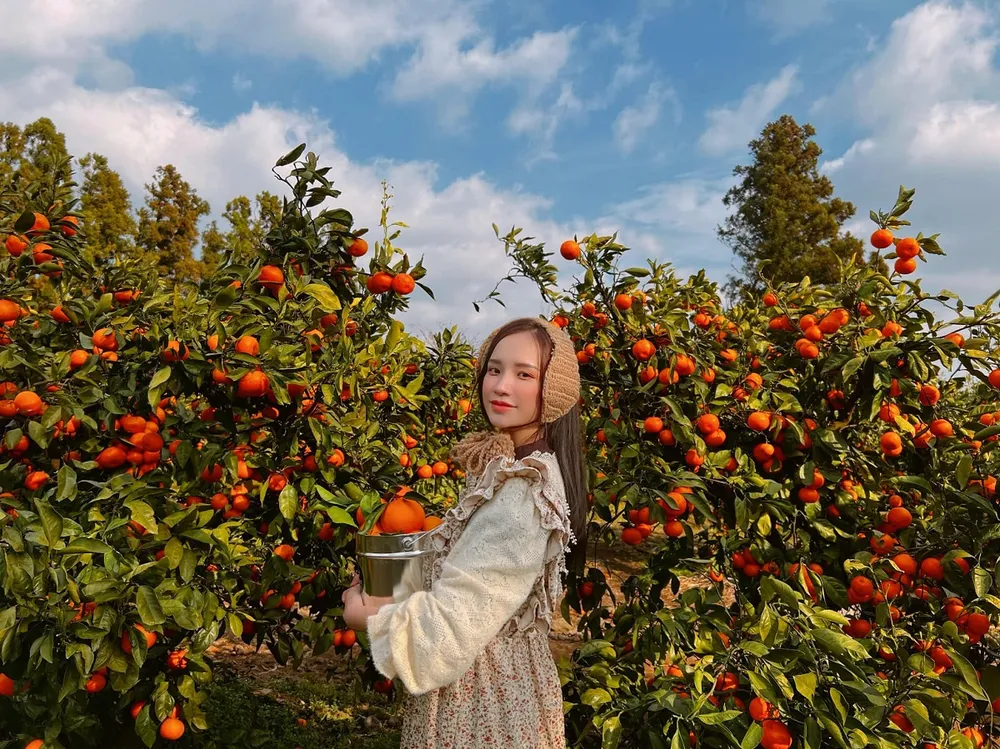 7 du-lich-dao-jeju-2-1156.jpg