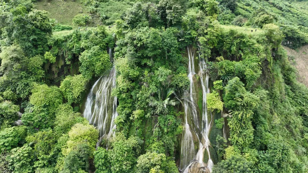 Thác Rêu nổi bật giữa rừng xanh.