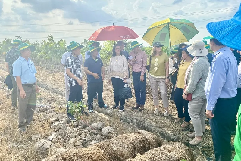 3- Đoàn công tác WB đến thăm tại HTX New Green Farm (quận Ninh Kiều, TP Cần Thơ).jpg