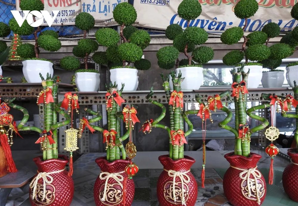 Cây cảnh năm nay đa dạng, bắt mắt với giá bán tương đối ổn định.
