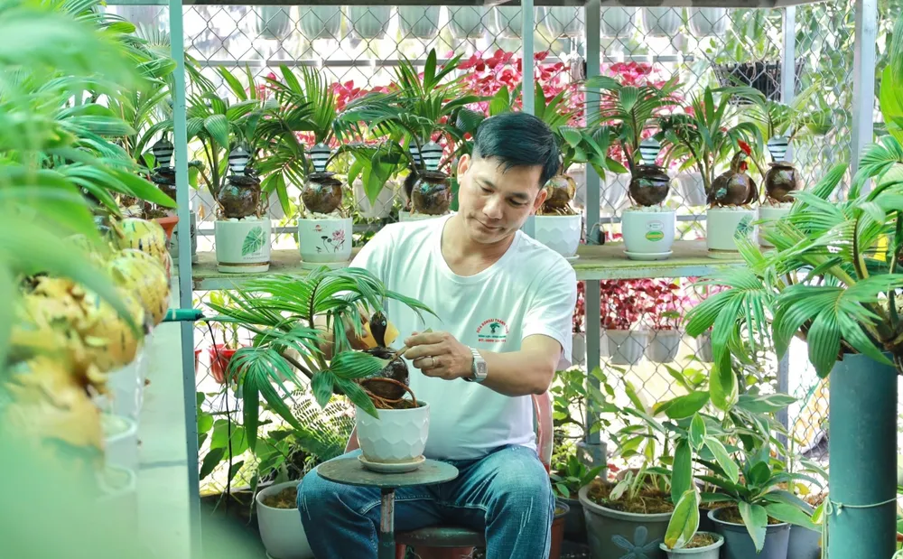 Vườn cây cảnh của ông Tùng sẽ tiếp tục có những sản phẩm độc đáo thu hút khách hàng.