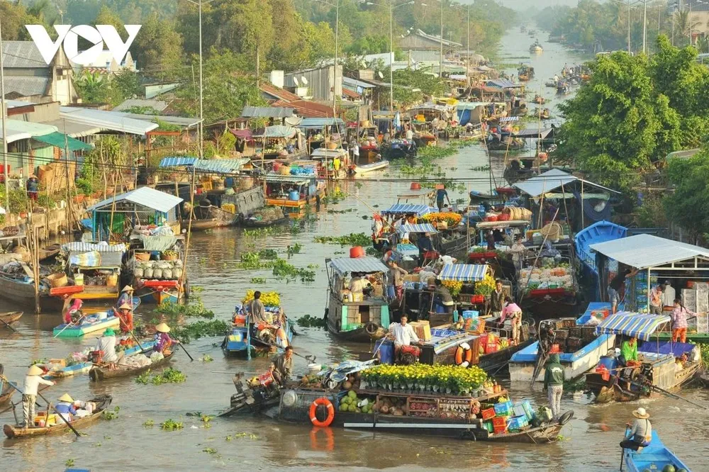 Ghe xuồng chở trái cây, hàng hóa, cá mắm, hoa kiểng nối đuôi nhau “ăn hàng” và tỏa đi khắp nơi. Đây cũng là mùa làm ăn khá giả nhất của dân thương hồ vì nhu cầu vận chuyển hàng hóa rất lớn.
