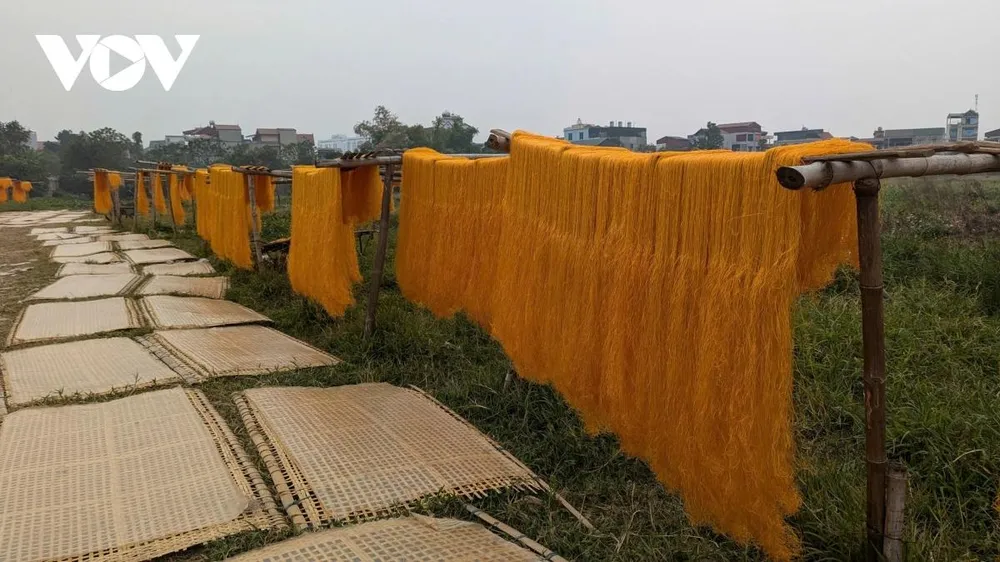 Hiện, làng Phú Diễn chỉ còn 80 lao động làm nghề với sản lượng đạt 400 tấn/năm. Do sự cạnh tranh của thị trường và sự phát triển của nhiều làng nghề khác nên những năm gần đây, sản lượng miến sản xuất ra cũng như số hộ làm nghề giảm dần. Những người còn trụ lại với nghề đến ngày nay đều cố gắng mỗi ngày để tạo ra những sản phẩm chất lượng và giữ gìn nghề truyền thống lâu năm của làng.