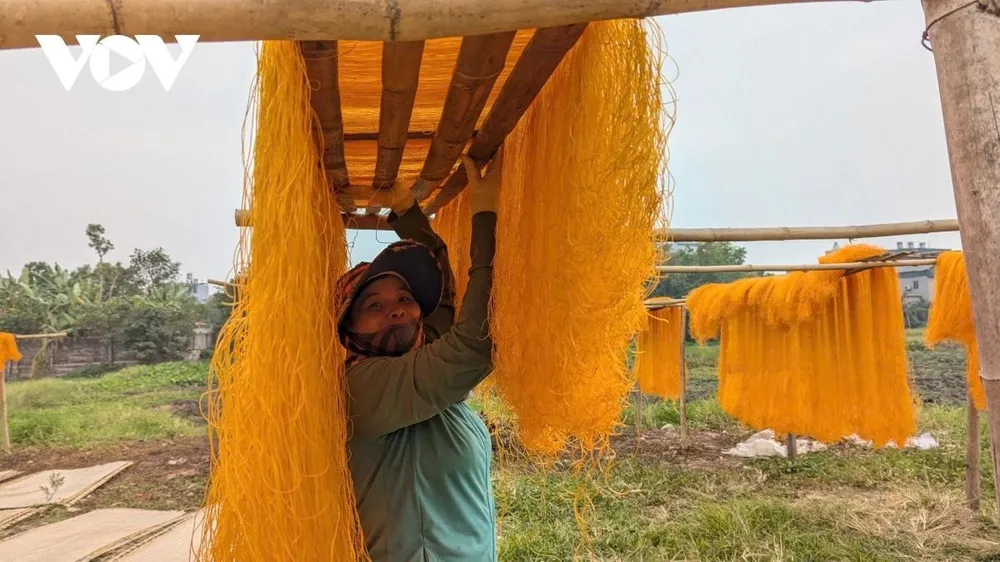 Đến làng miến những ngày cận Tết, từ đầu làng đã cảm nhận được hương vị Tết. Những sợi miến vàng óng được tạo nên từ đôi bàn tay khéo léo của những người thợ lành nghề. Không khí hối hả, khẩn trương của người thợ làm miến, đã góp phần mang một mùa xuân đến thật gần với mọi người, mọi nhà.