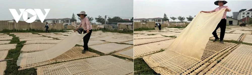 Để sợi miến được thơm, ngon, đạt chất lượng, người dân làng Phú Diễn luôn tận dụng mặt bằng và tranh thủ những ngày nắng ráo để phơi miến.