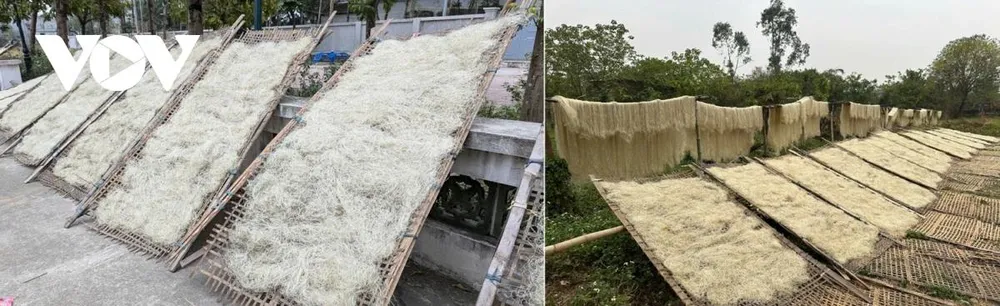 Nguyên liệu để làm miến là 100% bột dong.