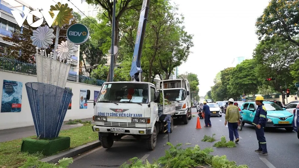 Những ngày qua, việc cắt tỉa những nhánh cây lớn cũng đã được thực hiện để chuẩn bị cho giai đoạn thi công thứ 3.