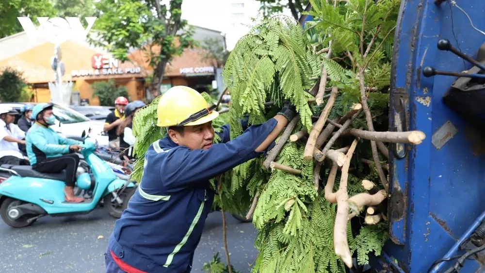 Để giữ vệ sinh môi trường, không cản trở giao thông đi lại, nhánh cây được cắt tỉa đến đâu sẽ được nhân viên dọn dẹp ngay đến đó.