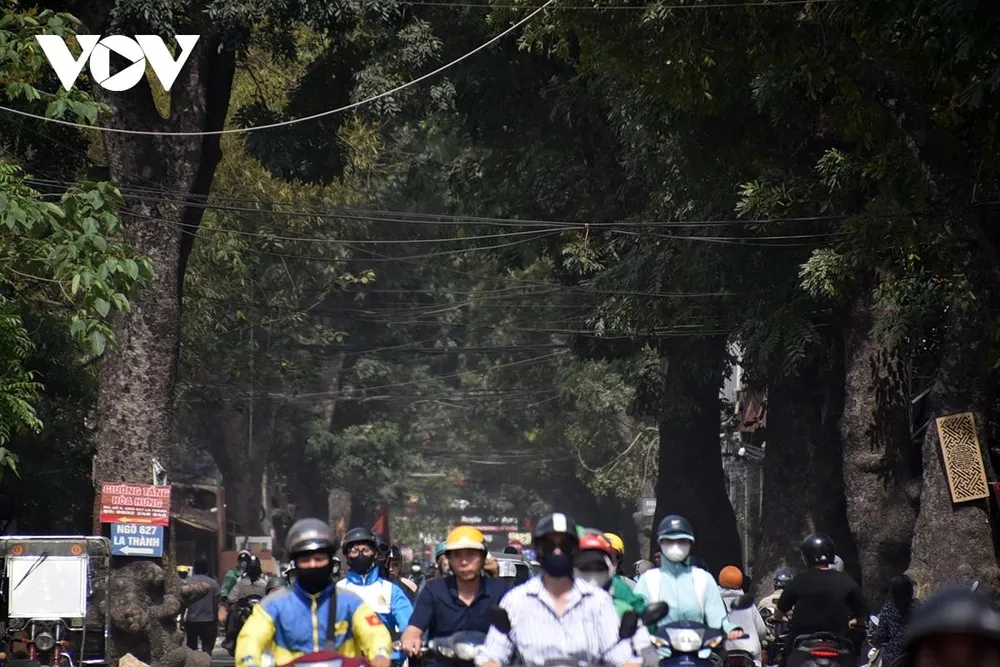 Tuyến vành đai 1 là trục chính đô thị kết nối từ Đông sang Tây, đi qua khu vực trung tâm của Hà Nội gồm các tuyến phố Trần Khát Chân - Đại Cồ Việt - Xã Đàn - Hoàng Cầu - Voi Phục với tổng chiều dài 7,2km. Nếu hoàn thành đoạn tuyến Hoàng Cầu - Voi Phục sẽ là vành đai đầu tiên của Hà Nội được khép kín.