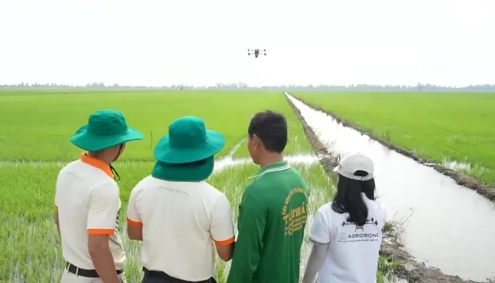 Gạo Việt đắt hàng